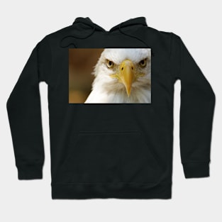 Bald Eagle Hoodie